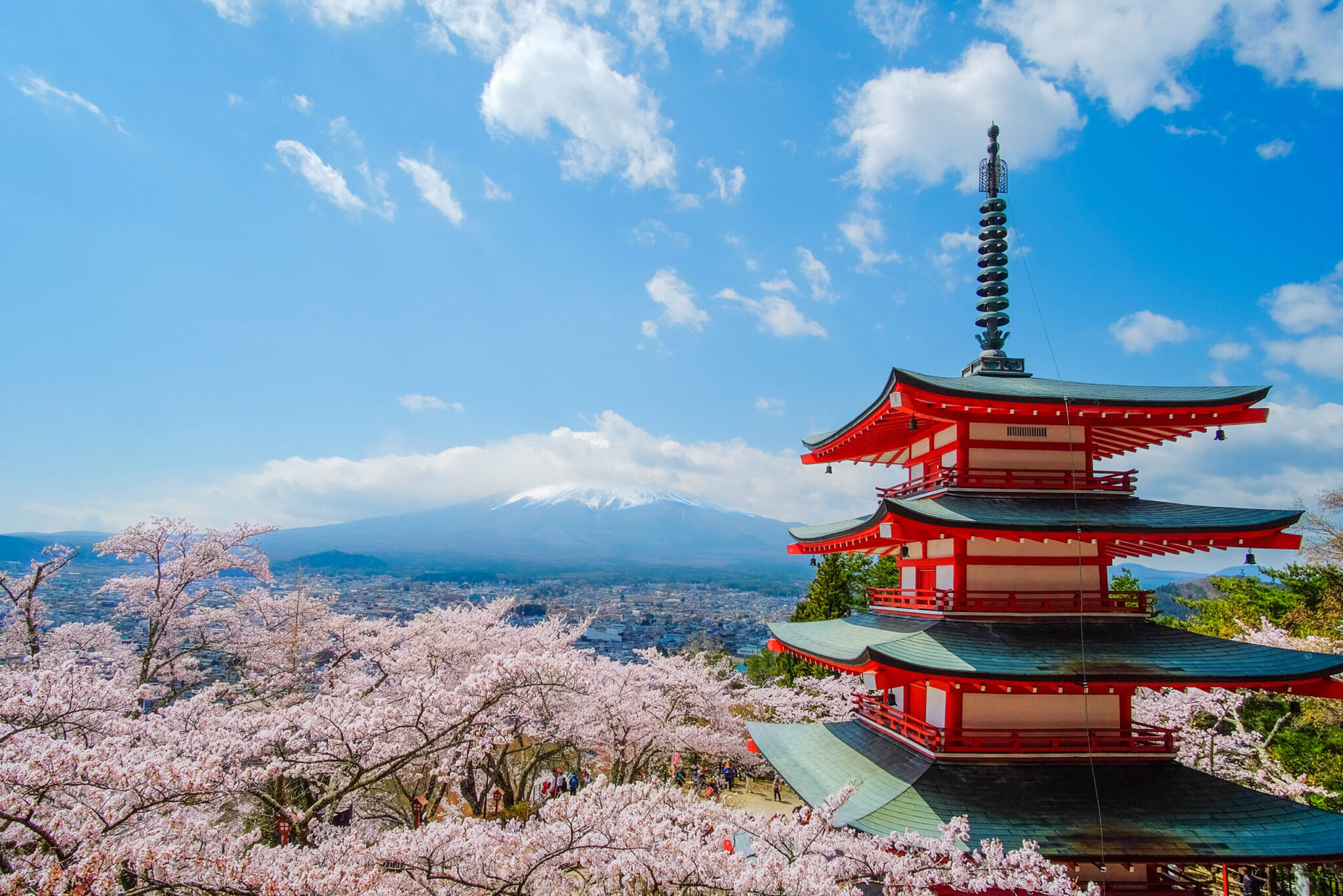 Translation Agency 推薦 - Best Translation Company in Japan